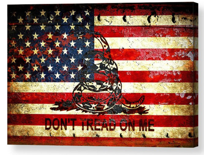 American Flag and Gadsden Flag Composition on Rust Print on 24 by 16 inches Stretched Canvas