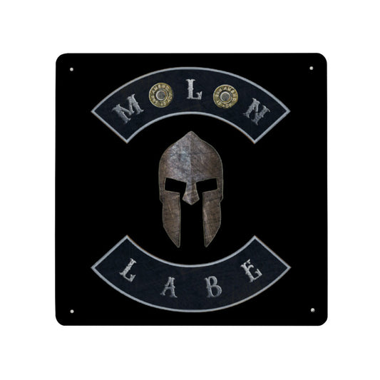 Molon Labe with Spartan Helmet and Double 45 ACP Case Heads Print on Metal