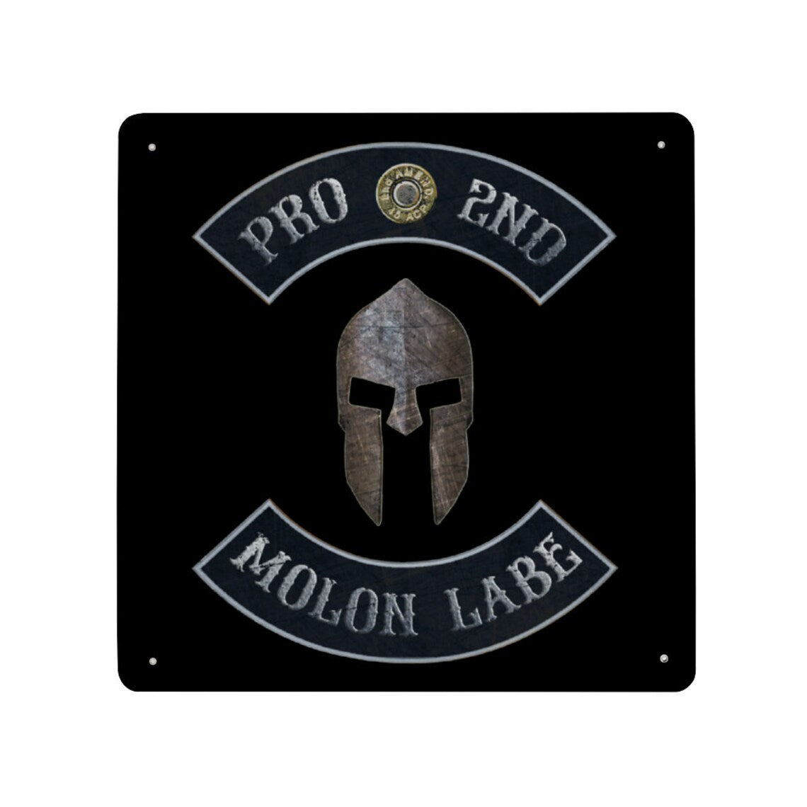 Pro 2nd Molon Labe with Spartan Helmet Print on Metal