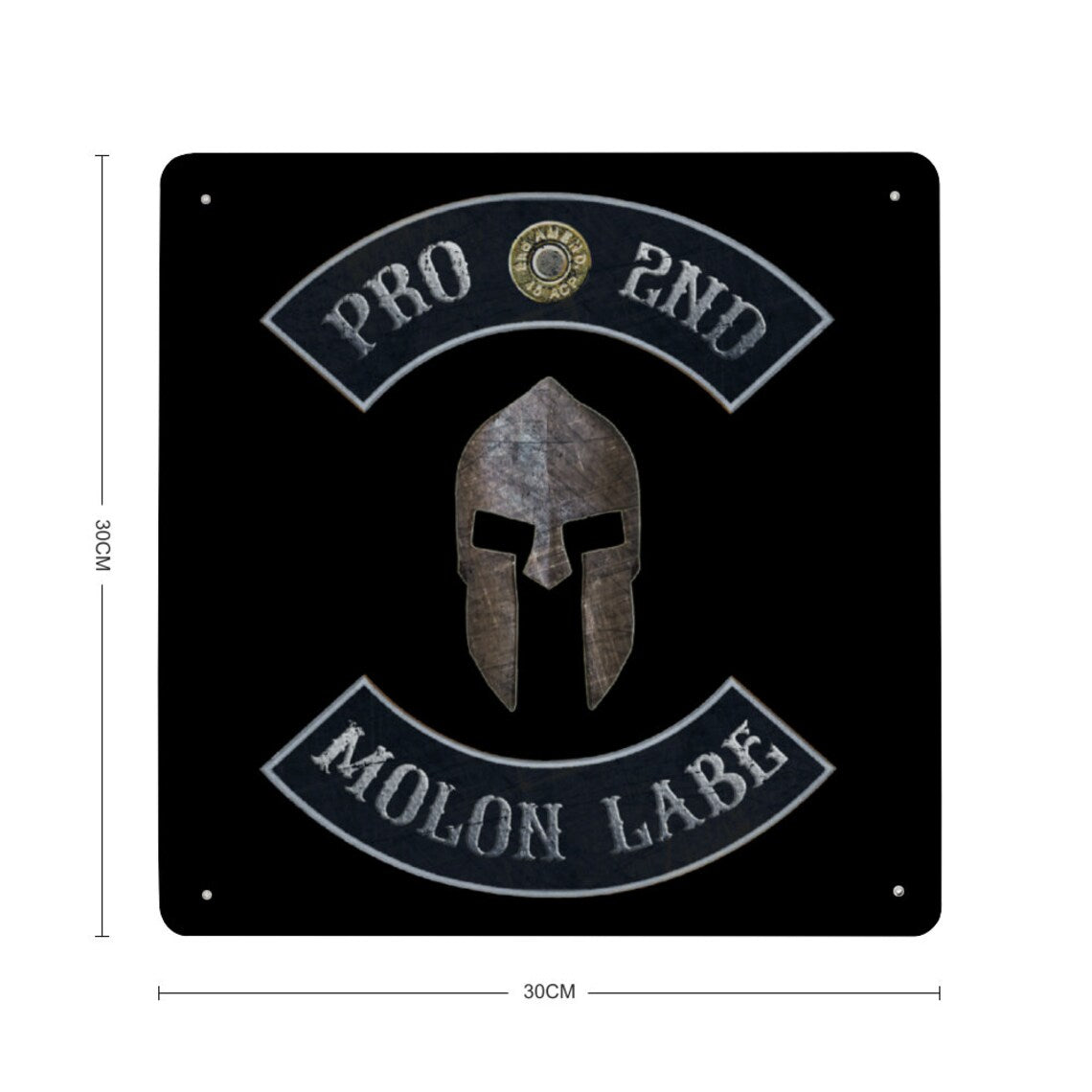 Pro 2nd Molon Labe with Spartan Helmet Print on Metal with dimensions